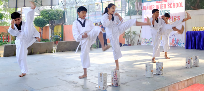 Taekwondo